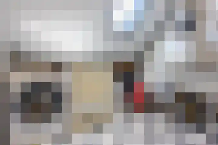Meerkoet 13 Hoogvliet Rotterdam thumbnail 29