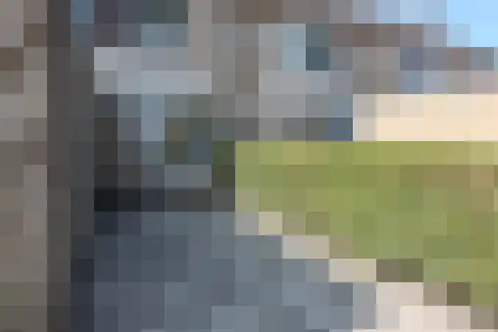 Meerkoet 13 Hoogvliet Rotterdam thumbnail 8