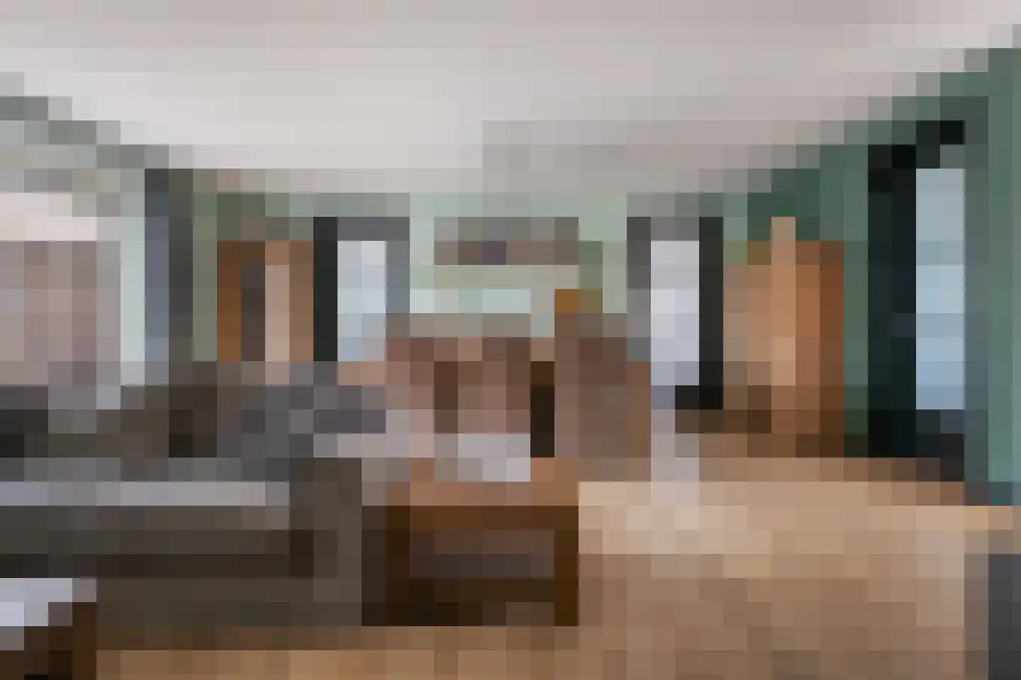Meerkoet 13 Oude Pekela thumbnail 11