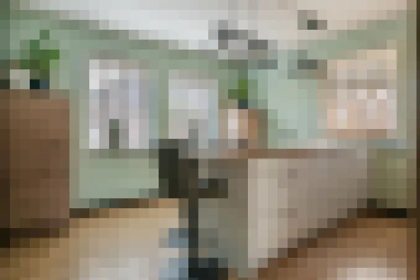 Meerkoet 13 Oude Pekela thumbnail 16