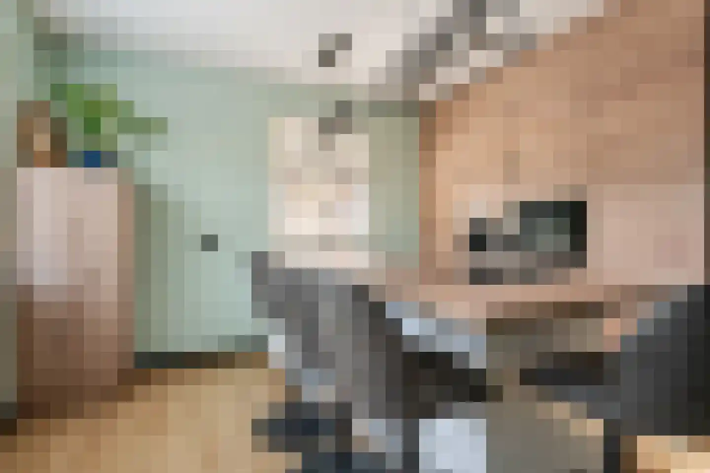 Meerkoet 13 Oude Pekela thumbnail 18