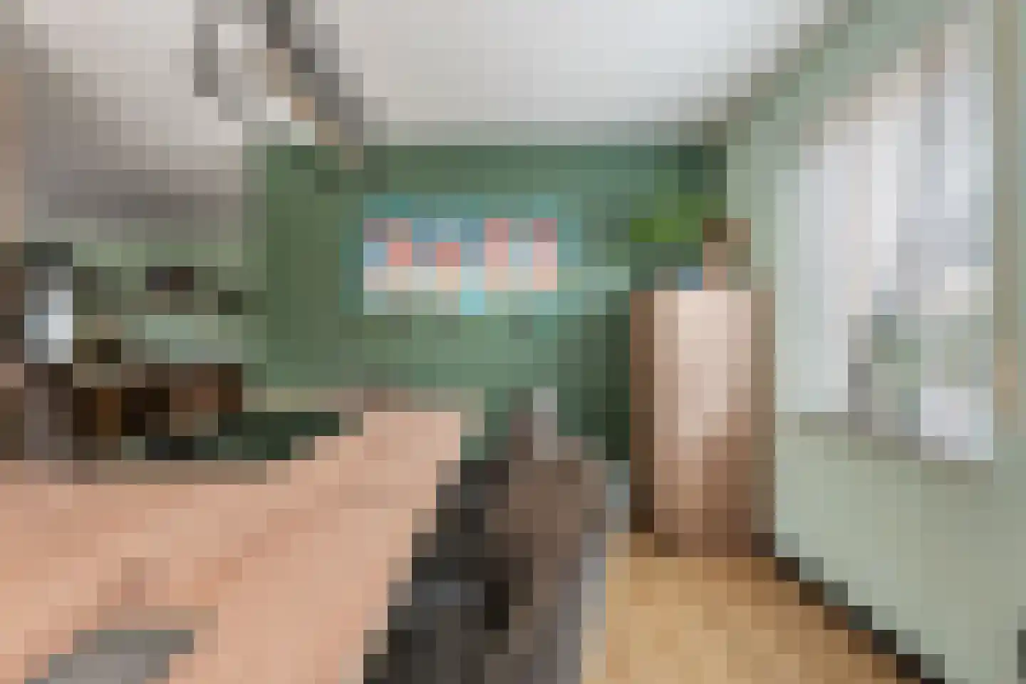 Meerkoet 13 Oude Pekela thumbnail 19