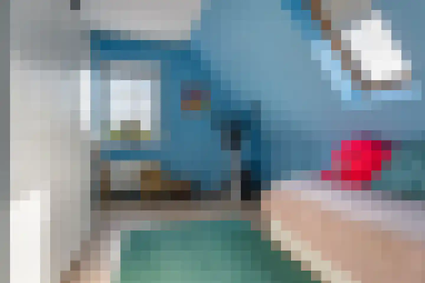 Meerkoet 13 Oude Pekela thumbnail 28