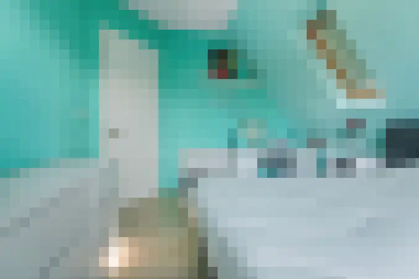 Meerkoet 13 Oude Pekela thumbnail 31
