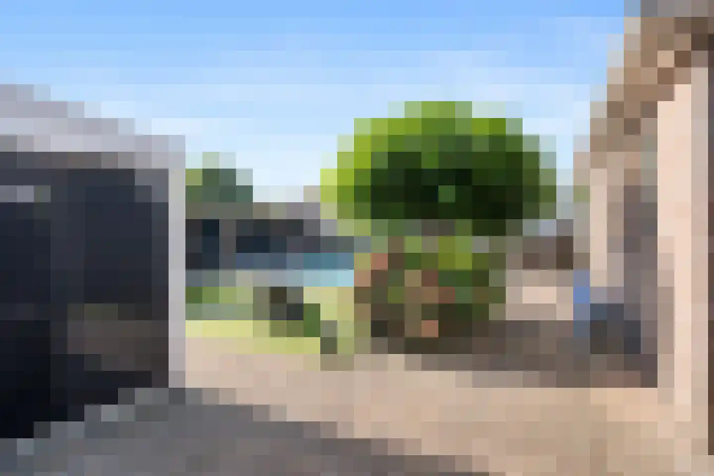 Meerkoet 13 Oude Pekela thumbnail 40