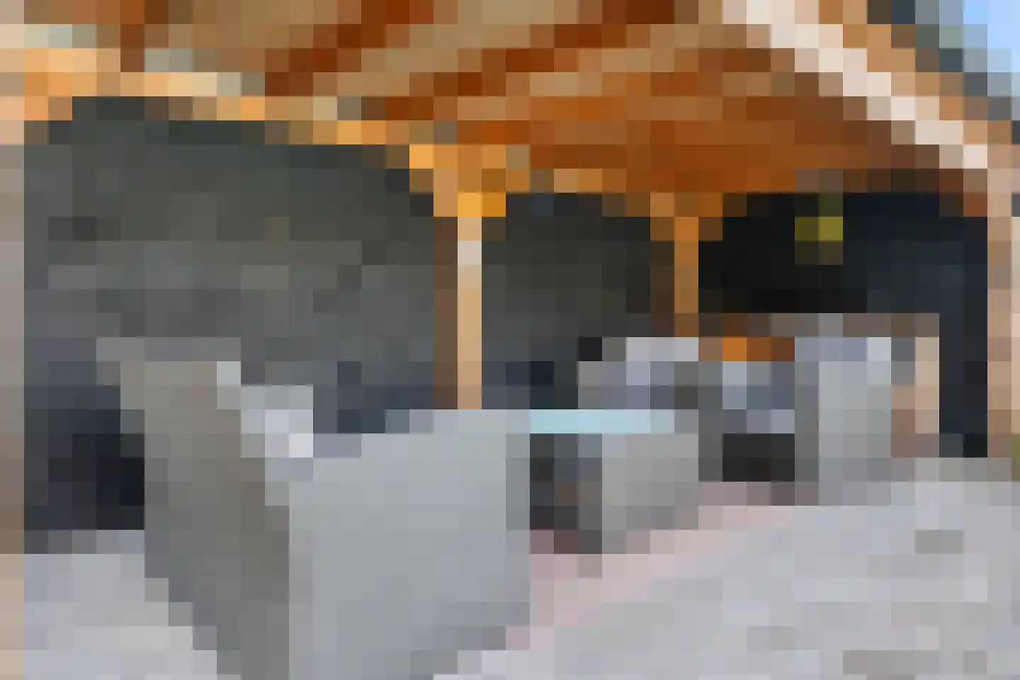 Meerkoet 13 Oude Pekela thumbnail 43