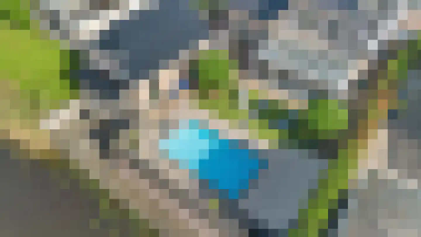 Meerkoet 13 Oude Pekela thumbnail 49