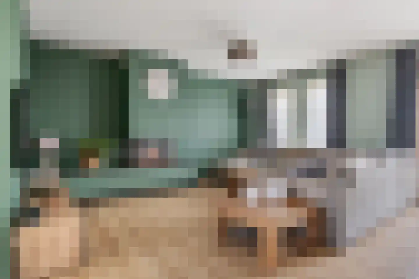 Meerkoet 13 Oude Pekela thumbnail 5