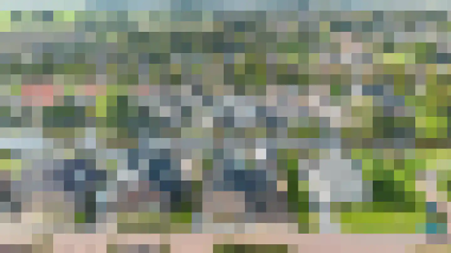 Meerkoet 13 Oude Pekela thumbnail 55