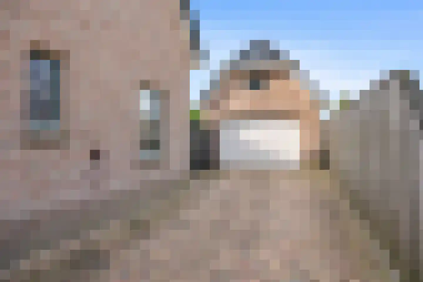 Meerkoet 13 Oude Pekela thumbnail 7