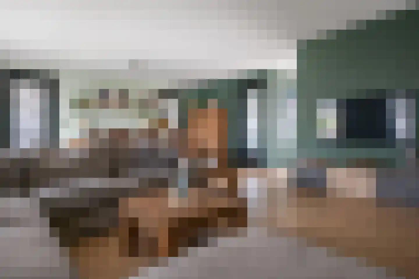 Meerkoet 13 Oude Pekela thumbnail 9
