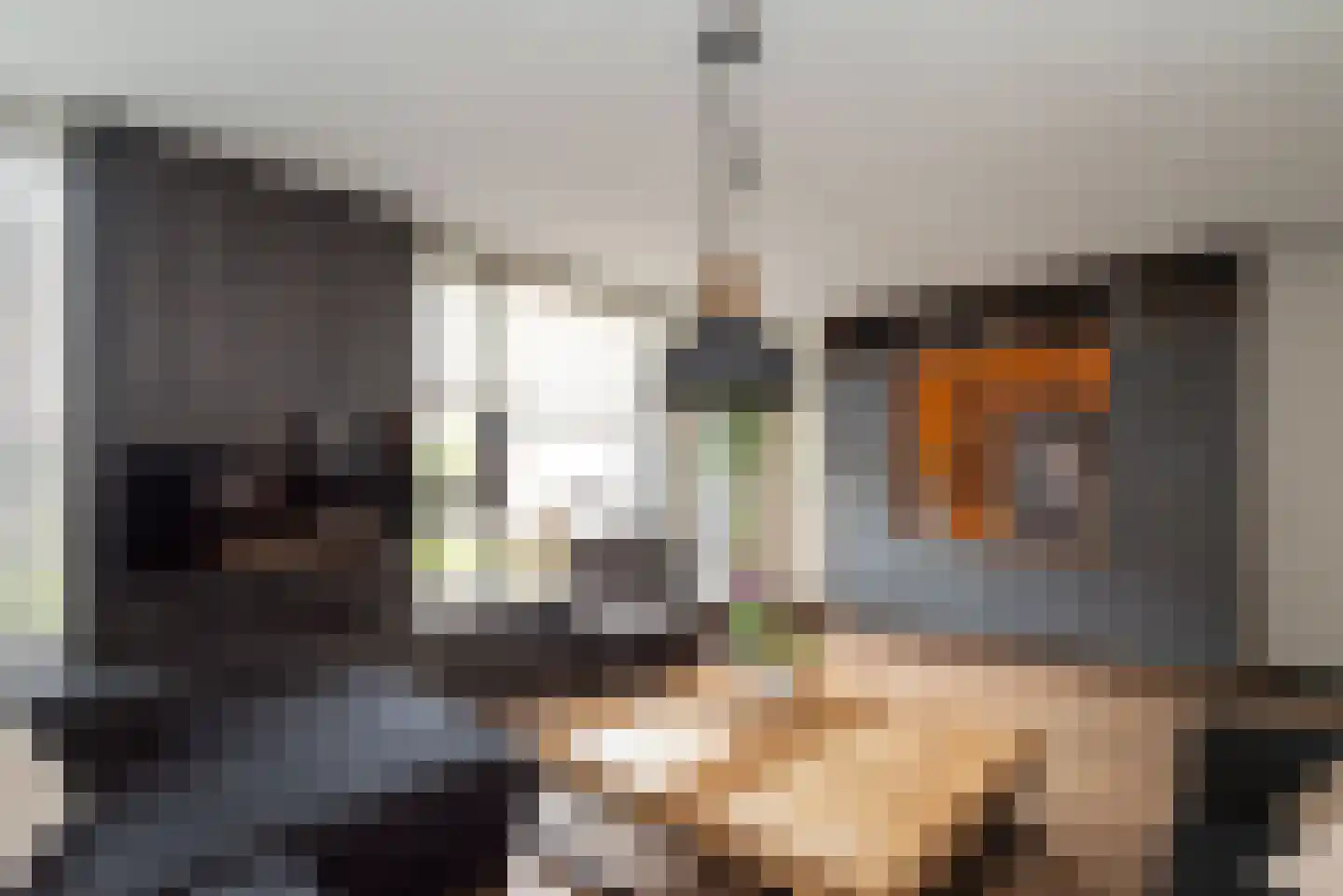 Meerkoet 13 Rijssen thumbnail 10
