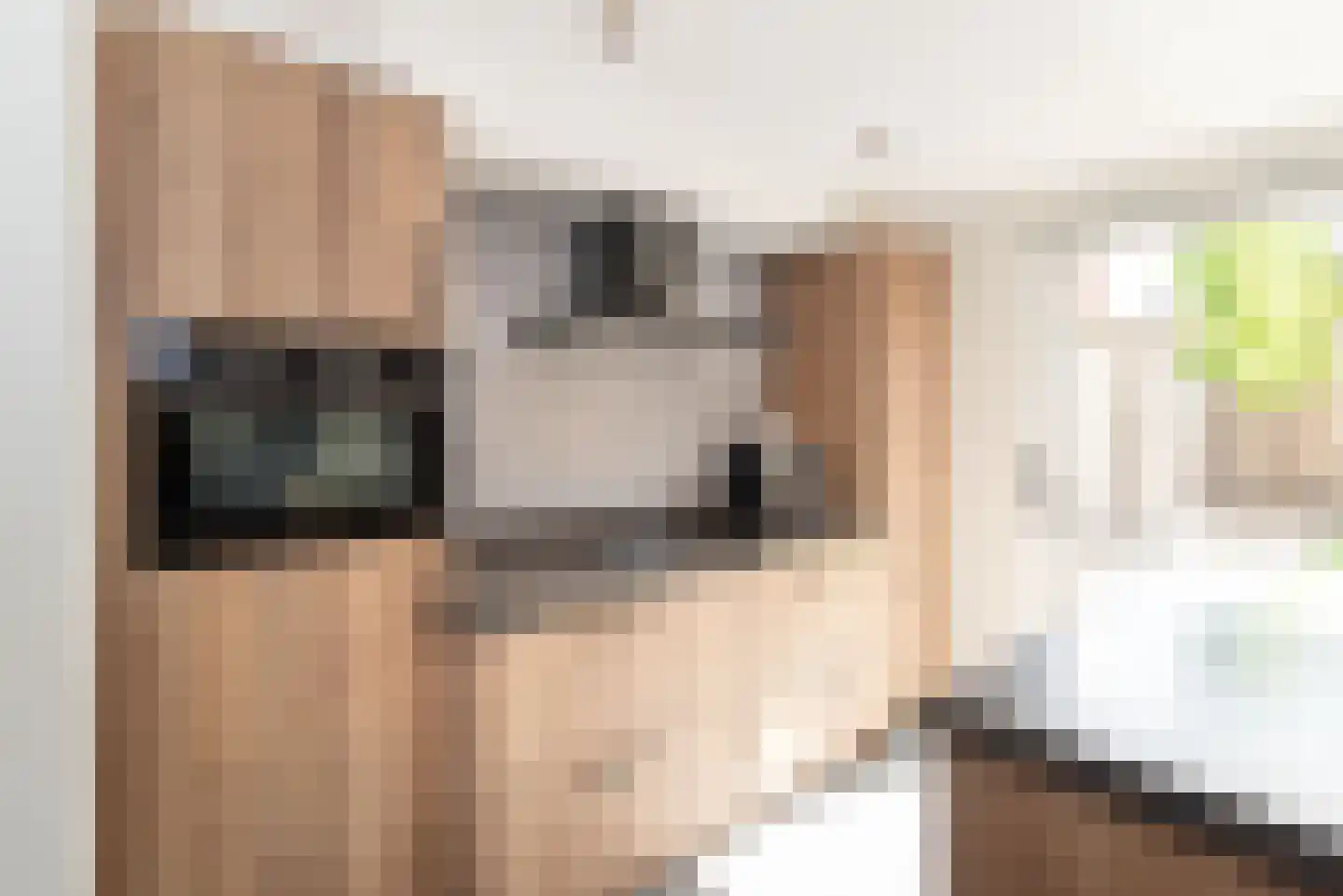 Meerkoet 13 Rijssen thumbnail 16