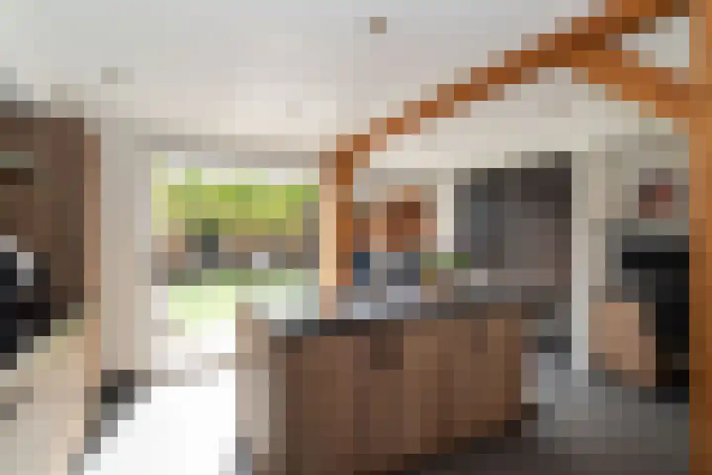 Meerkoet 13 Rijssen thumbnail 17