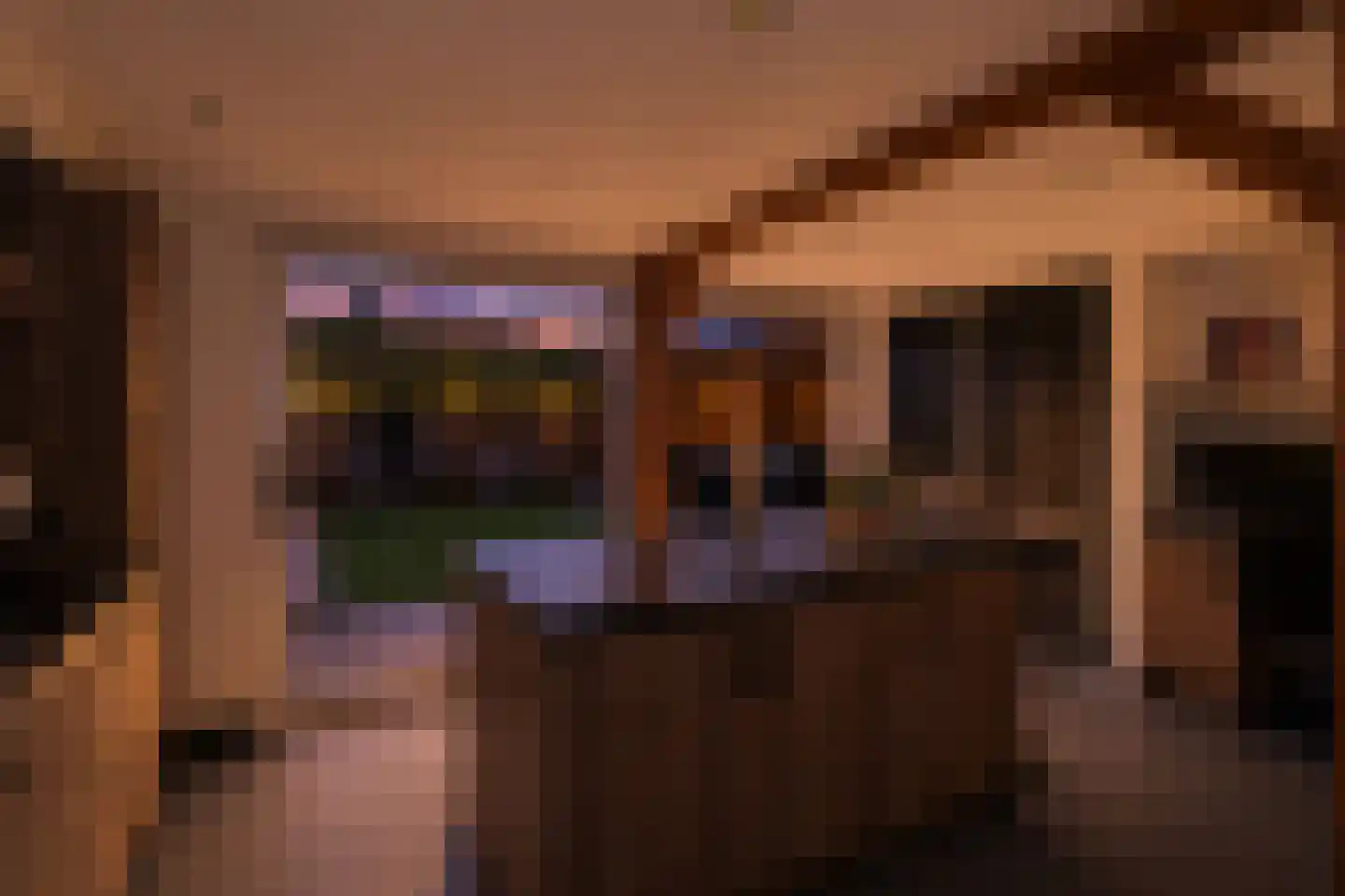 Meerkoet 13 Rijssen thumbnail 18