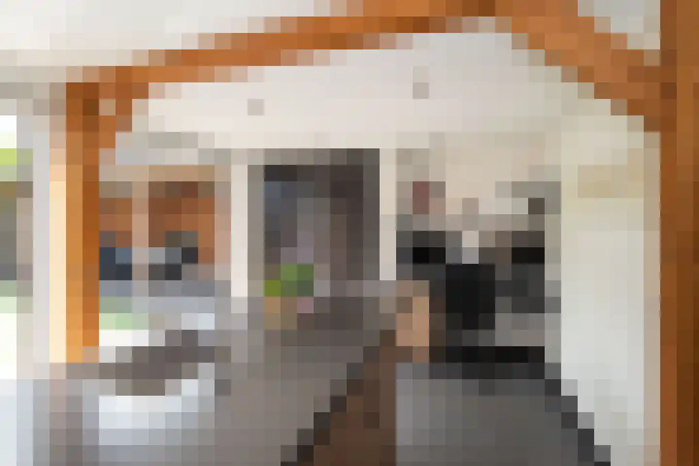 Meerkoet 13 Rijssen thumbnail 19