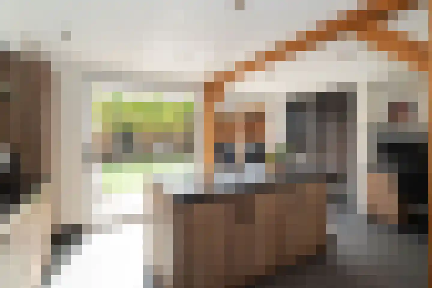 Meerkoet 13 Rijssen thumbnail 20