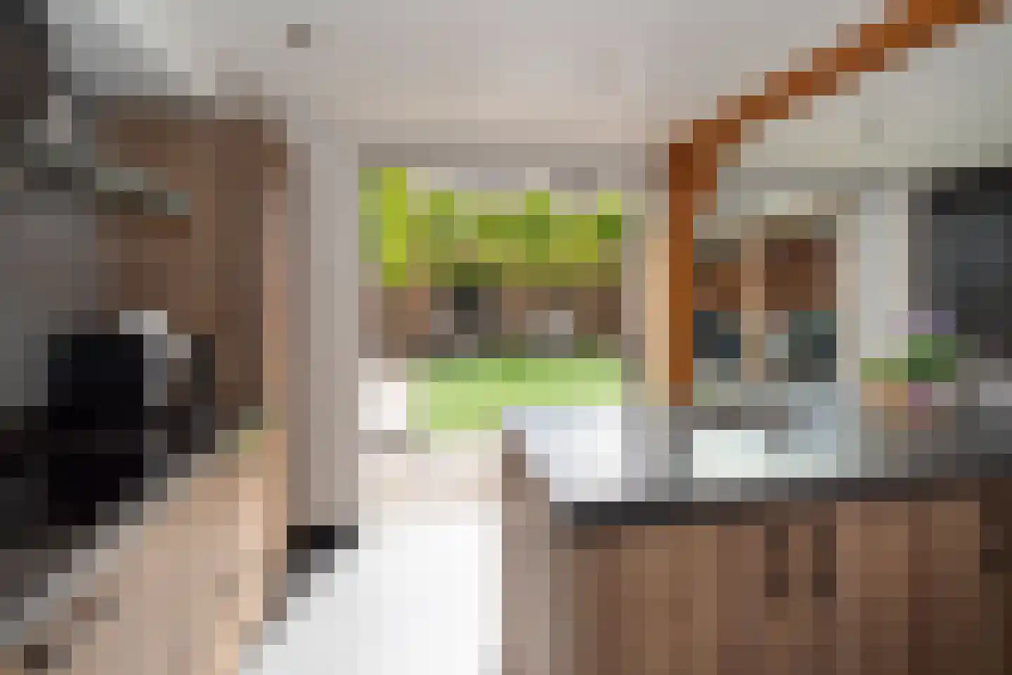 Meerkoet 13 Rijssen thumbnail 21