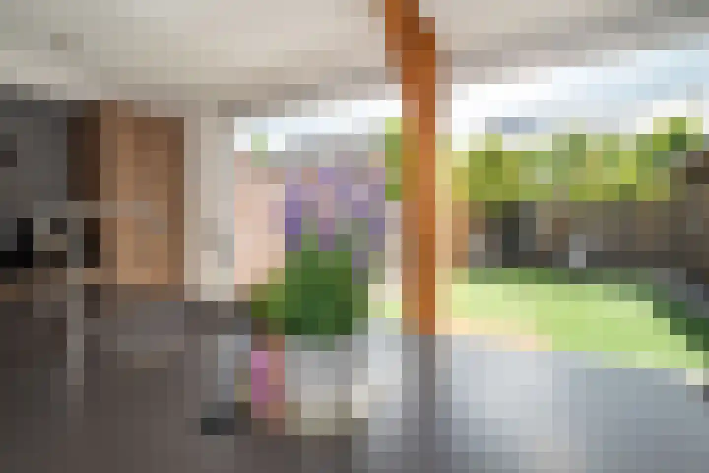 Meerkoet 13 Rijssen thumbnail 22