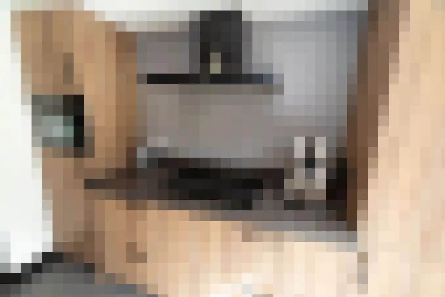Meerkoet 13 Rijssen thumbnail 25