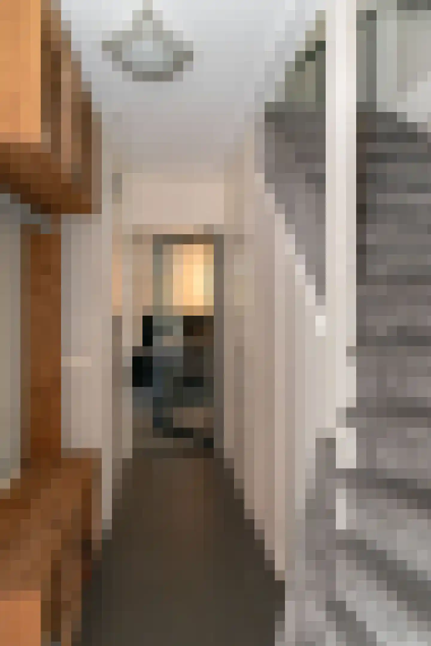 Meerkoet 13 Rijssen thumbnail 26