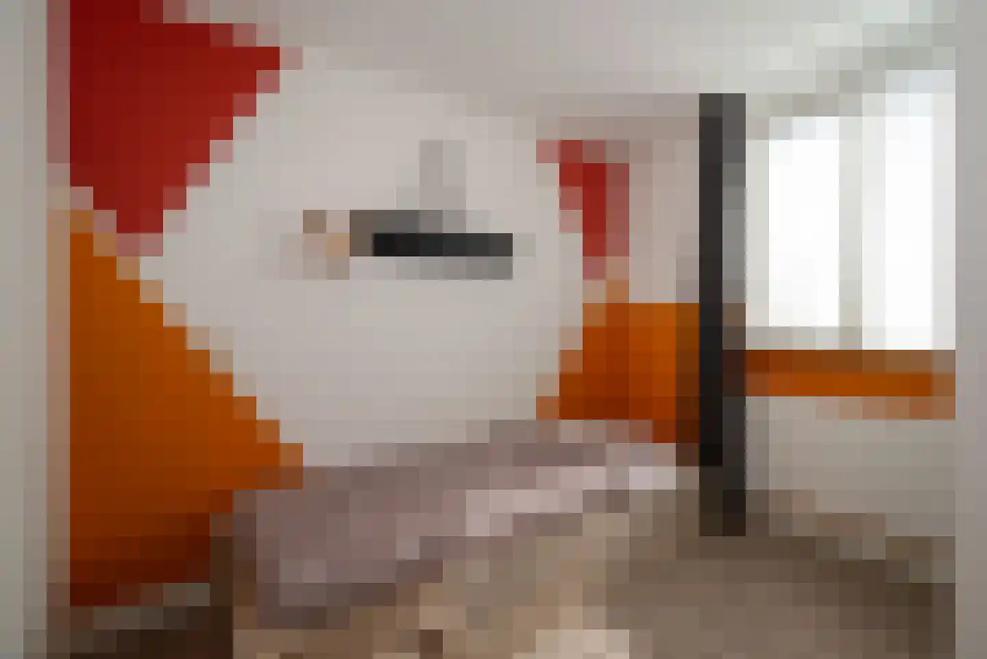 Meerkoet 13 Rijssen thumbnail 29