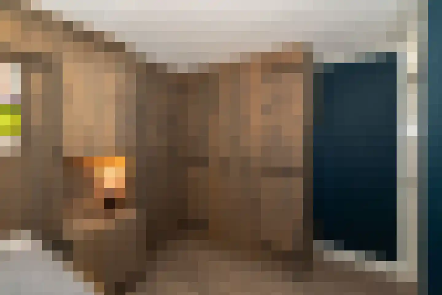 Meerkoet 13 Rijssen thumbnail 32