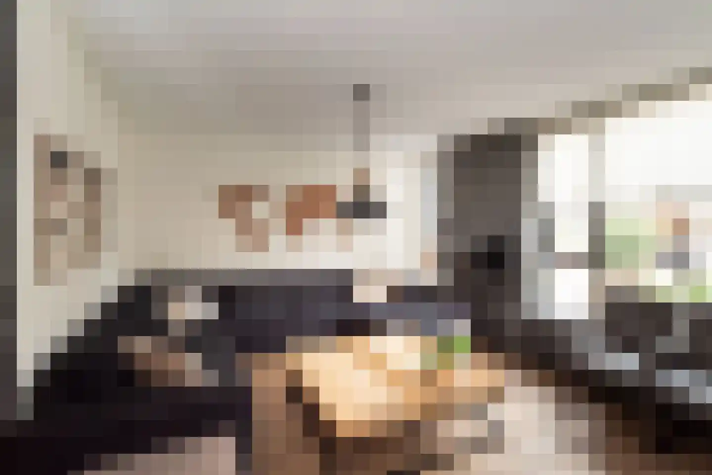 Meerkoet 13 Rijssen thumbnail 4
