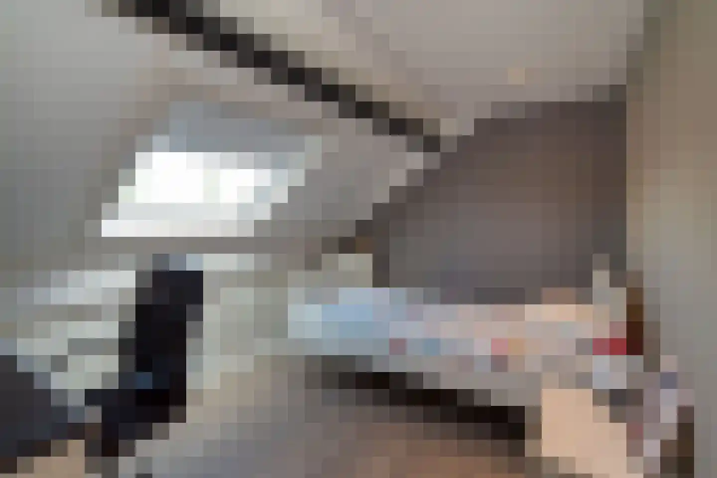 Meerkoet 13 Rijssen thumbnail 42