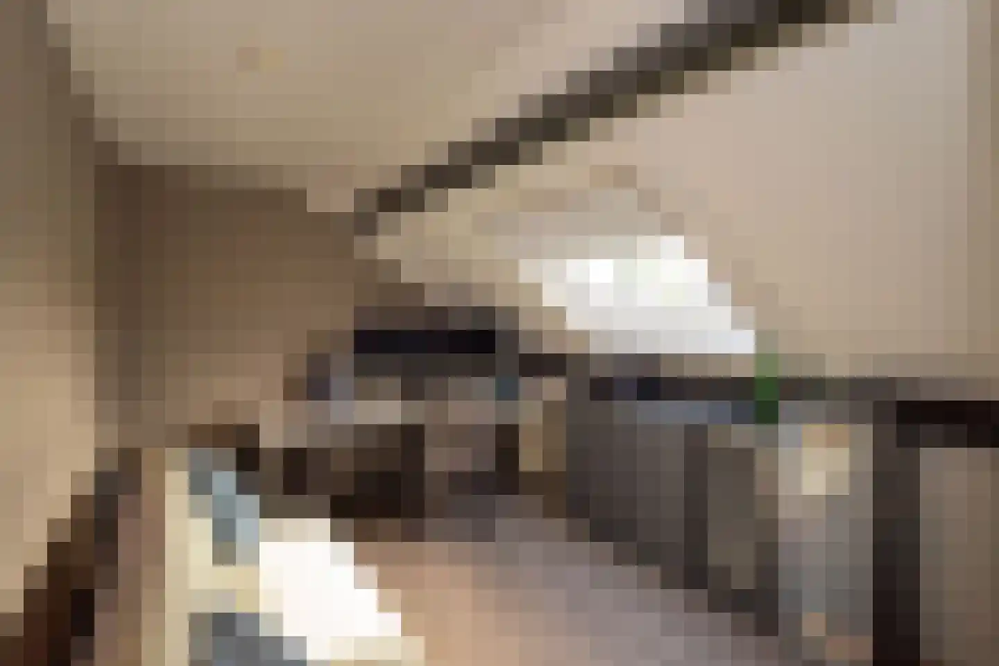 Meerkoet 13 Rijssen thumbnail 43