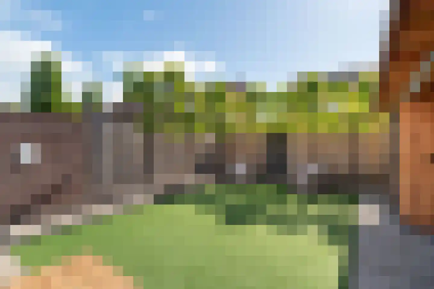 Meerkoet 13 Rijssen thumbnail 45