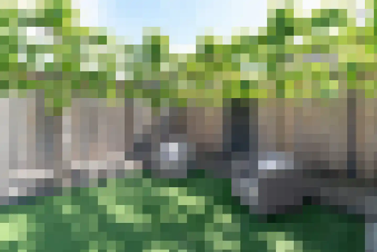 Meerkoet 13 Rijssen thumbnail 46