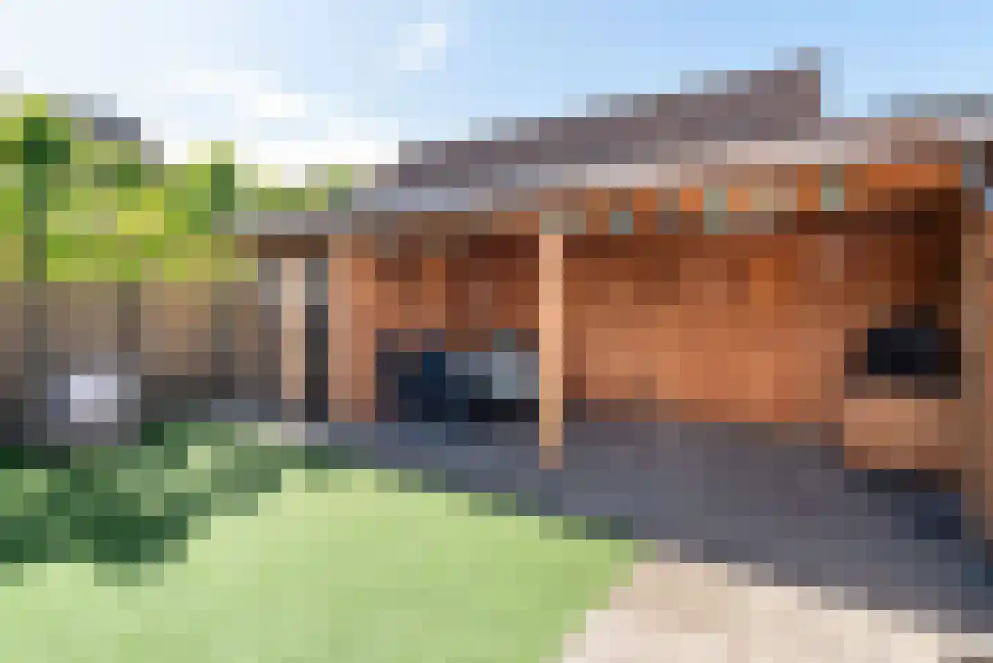 Meerkoet 13 Rijssen thumbnail 47