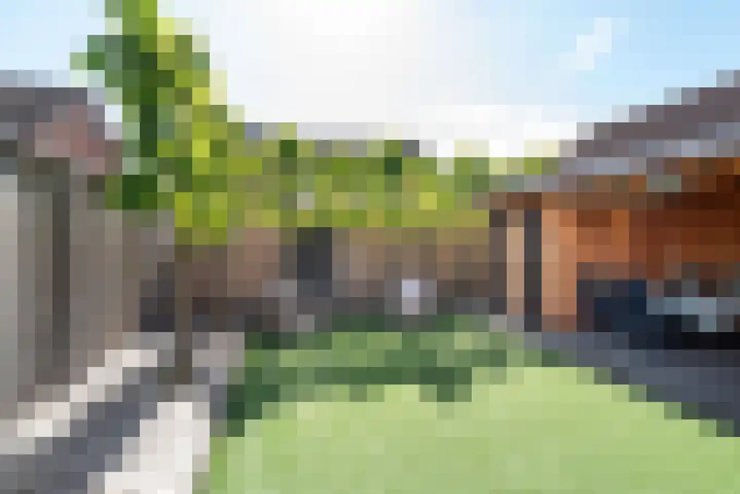 Meerkoet 13 Rijssen thumbnail 48