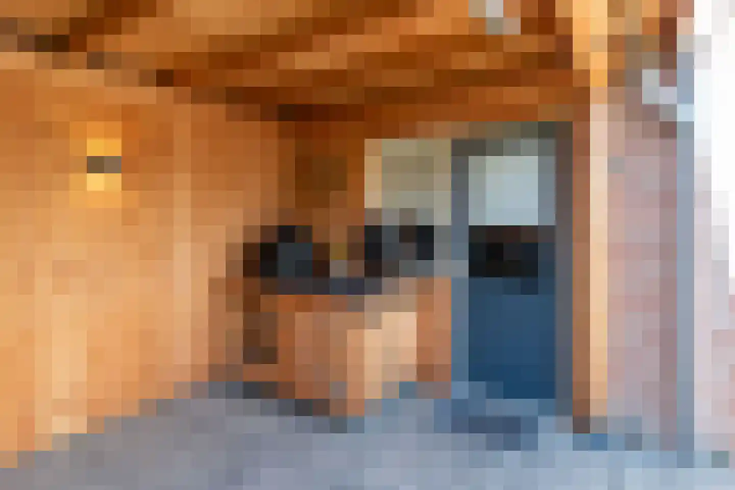 Meerkoet 13 Rijssen thumbnail 49