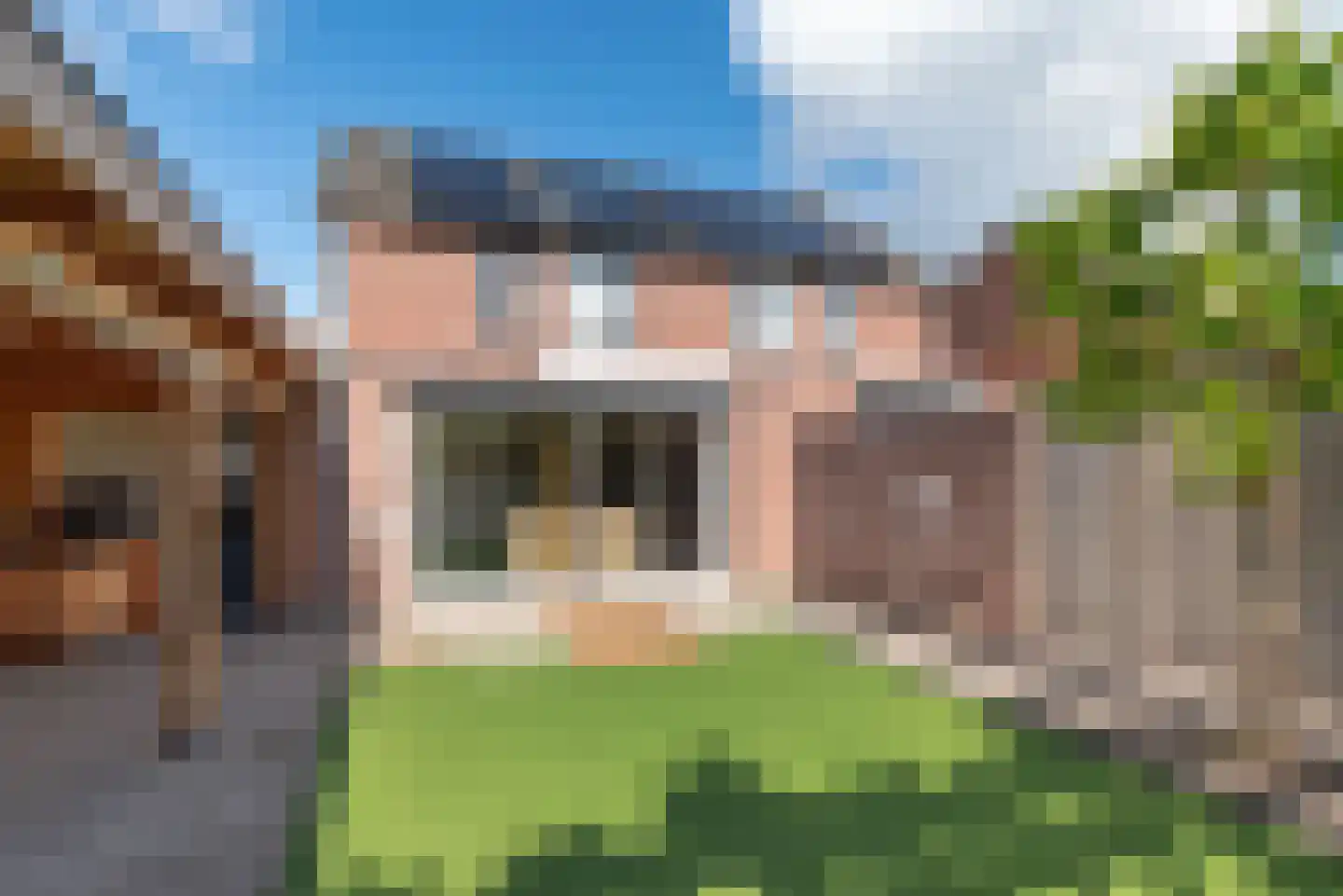 Meerkoet 13 Rijssen thumbnail 5