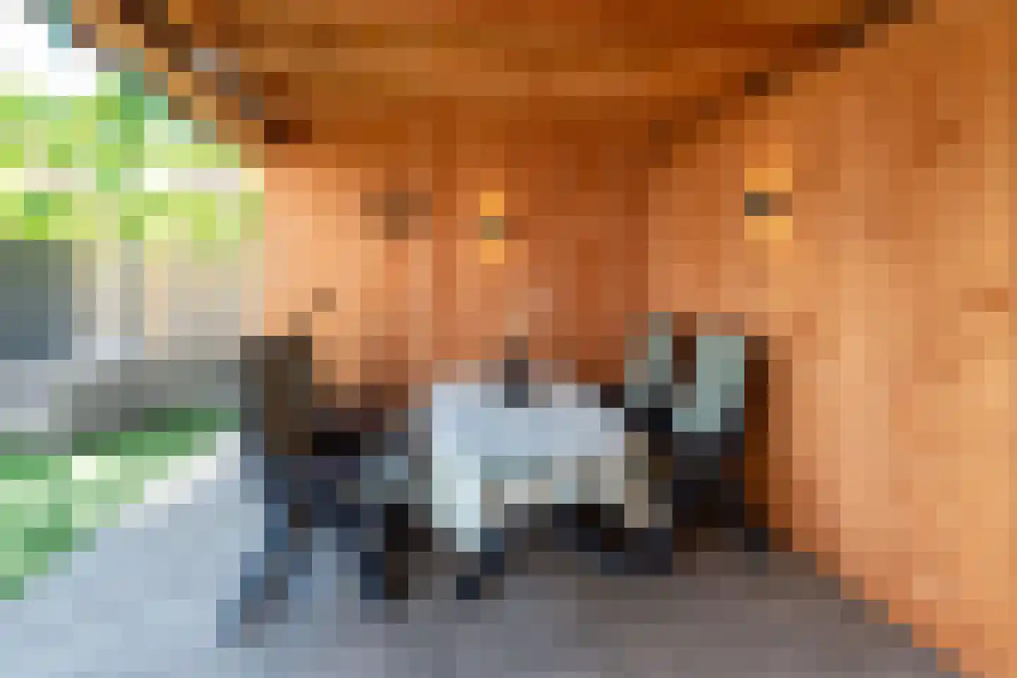 Meerkoet 13 Rijssen thumbnail 50