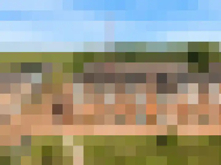 Meerkoet 14 in Noorden