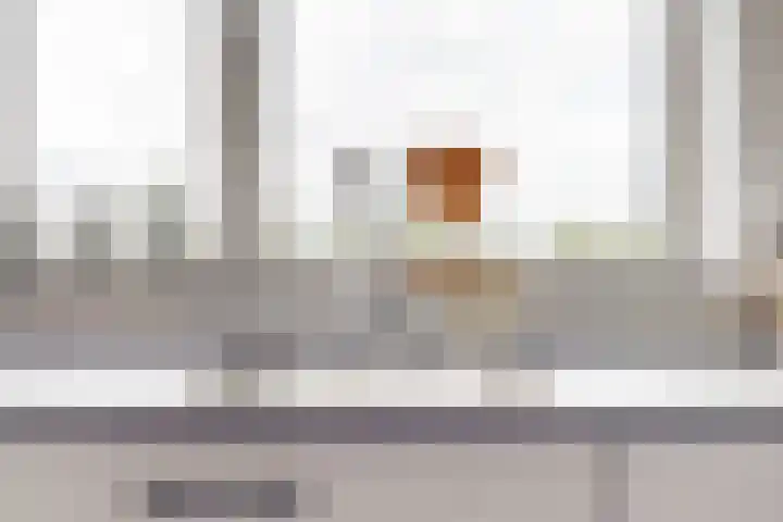 Meerkoet 14 Noorden thumbnail 10