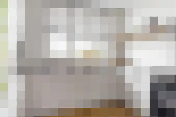 Meerkoet 14 Noorden thumbnail 11