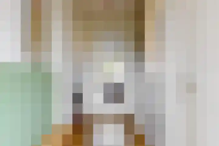 Meerkoet 14 Noorden thumbnail 13