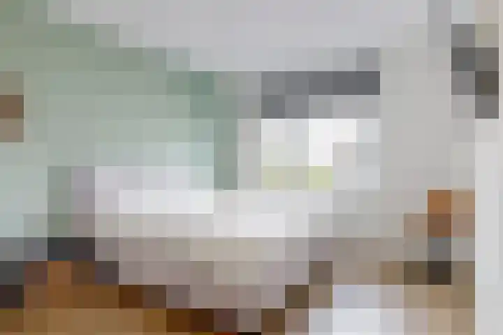 Meerkoet 14 Noorden thumbnail 16