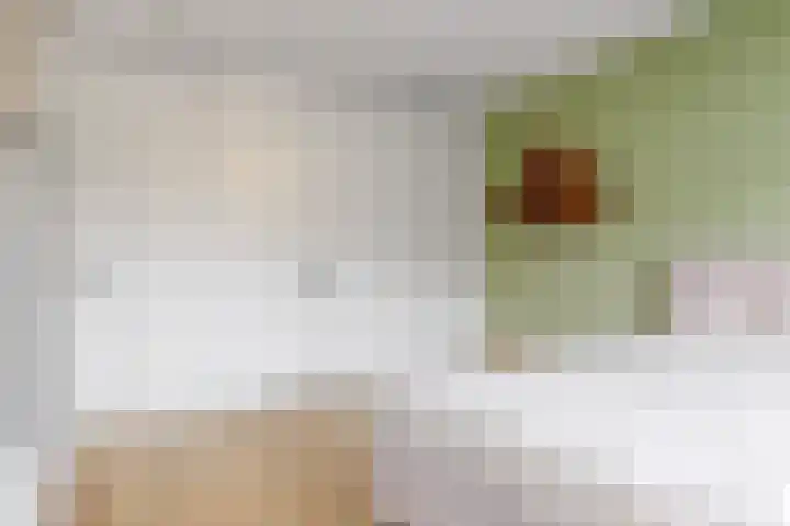Meerkoet 14 Noorden thumbnail 17