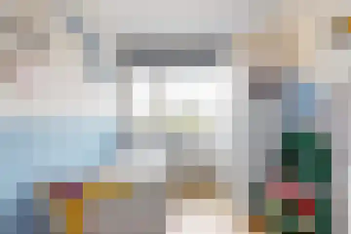 Meerkoet 14 Noorden thumbnail 19