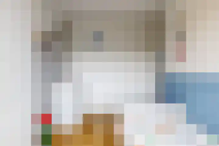 Meerkoet 14 Noorden thumbnail 20