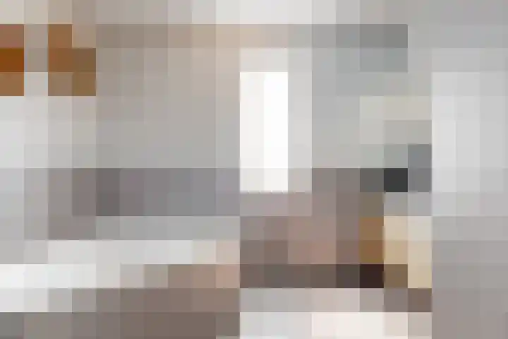 Meerkoet 14 Noorden thumbnail 21