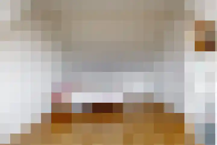 Meerkoet 14 Noorden thumbnail 26