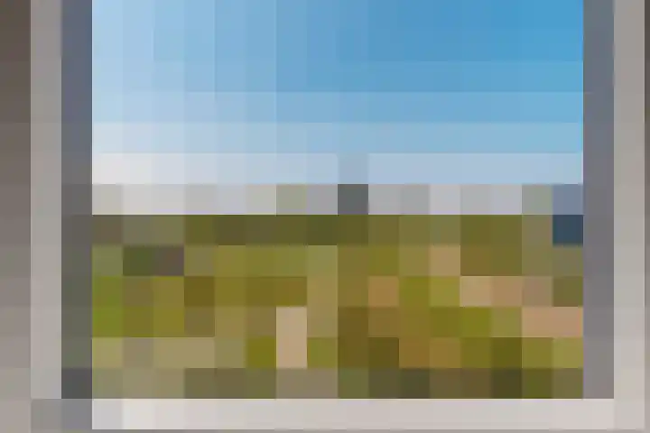 Meerkoet 14 Noorden thumbnail 27