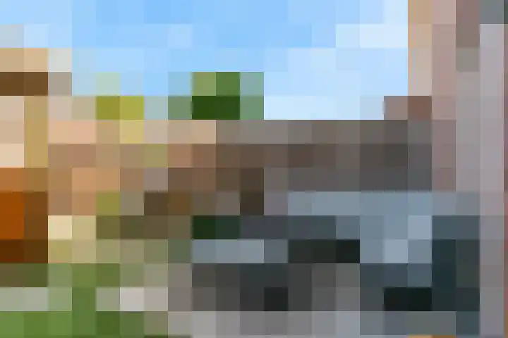 Meerkoet 14 Noorden thumbnail 28