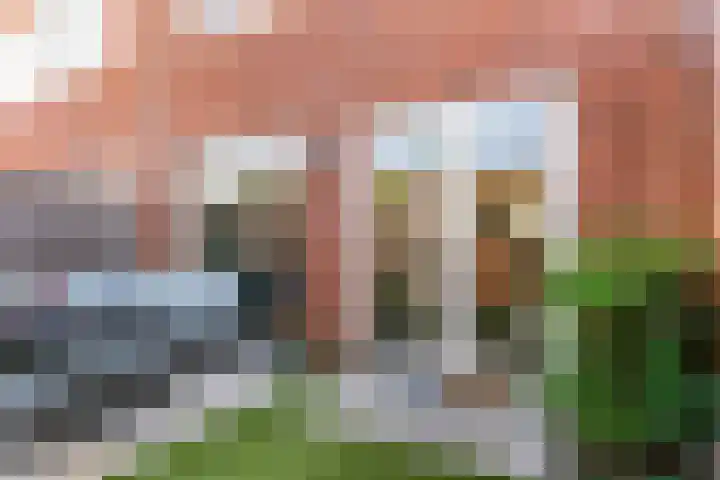 Meerkoet 14 Noorden thumbnail 29